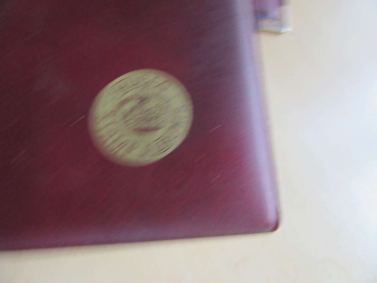 SMALL HUBAG STAMP ALBUM - 10 PAGES FILLED WITH INTERNATIONAL STAMPS - AS PER SCAN - BID PER PAGE