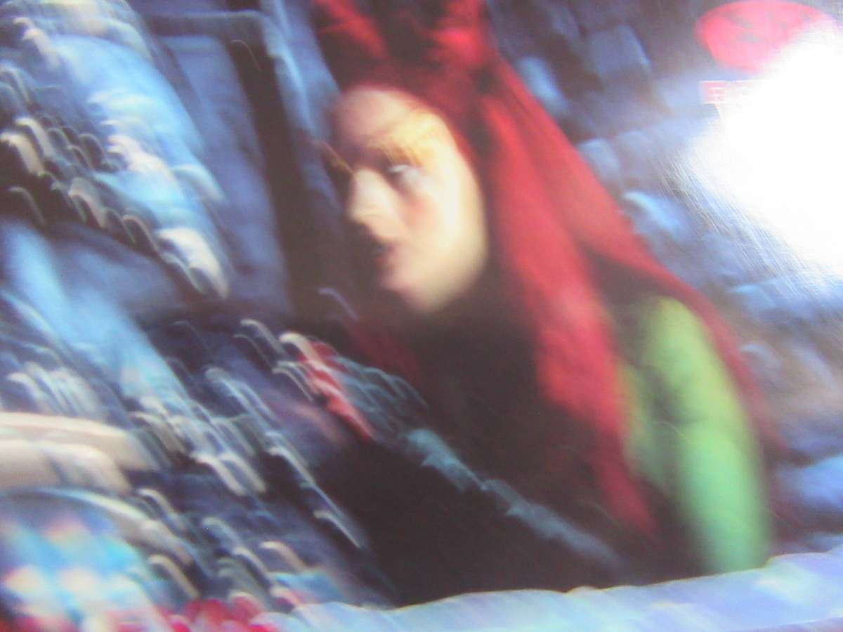 BATMAN &ROBIN -ROAM ANDEVIL
