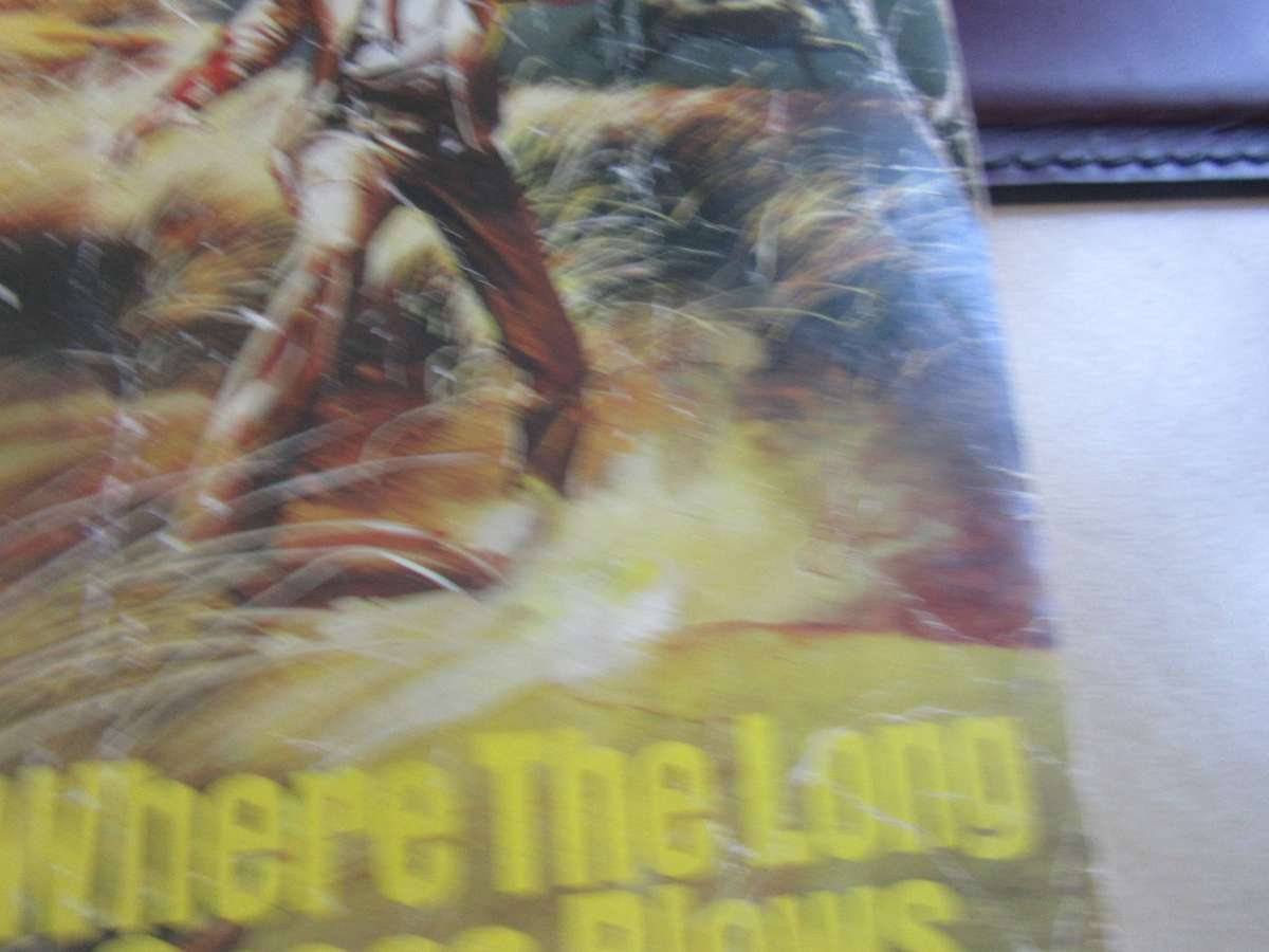 LOUIS L'AMOUR BUNDLE - 19 VARIOUS- BID PER BOOK