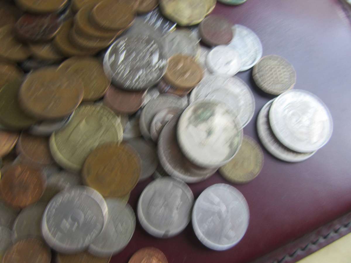 GOOD START FOR THE BEGINNER -500 INTERNATIONAL COINS INCL. RSA COINS - AS PR SCAN - BID PER COIN11