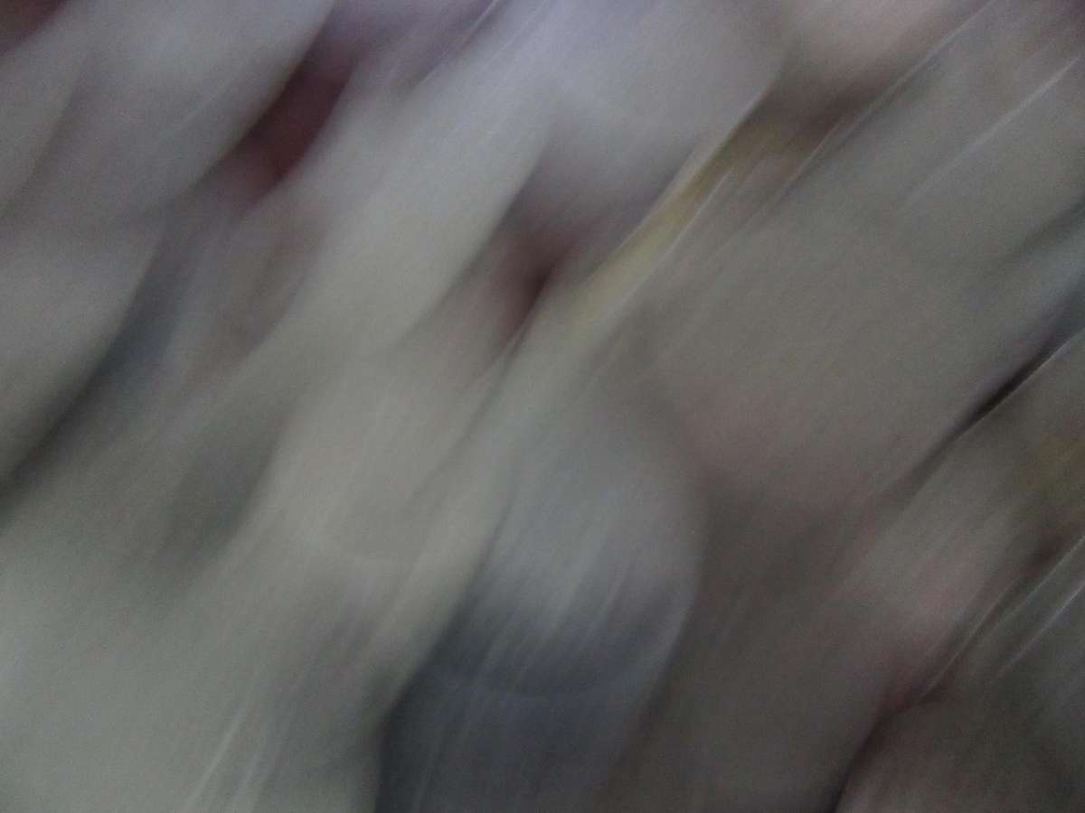 GOOD START FOR THE BEGINNER - 95 WORLD COINS - BID PER COIN AS PER SCAN - LOT23