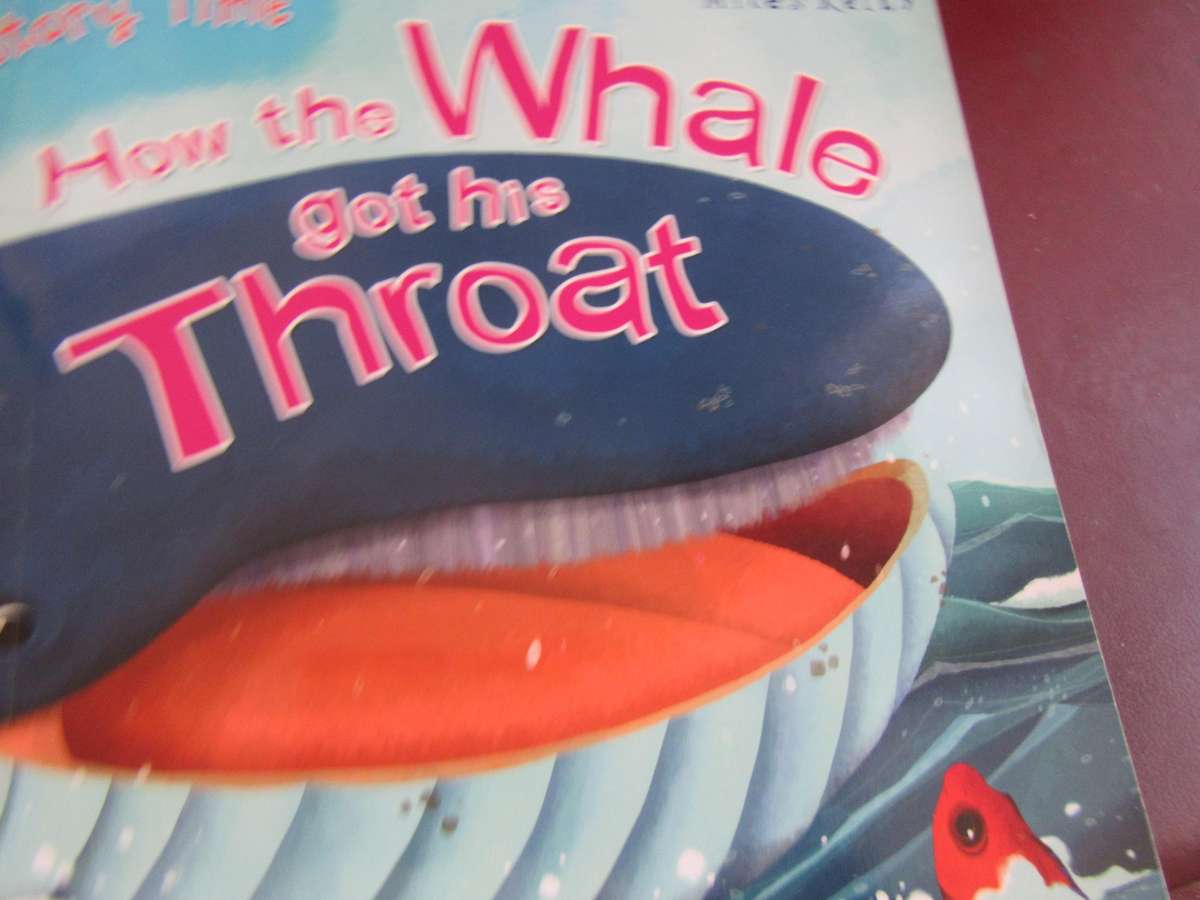 MY STORY TIME COLLECTION - 19 VARIOUS MILES &KELL IN HOLDER - AS PER SCAN - BID PER BOOK - MD