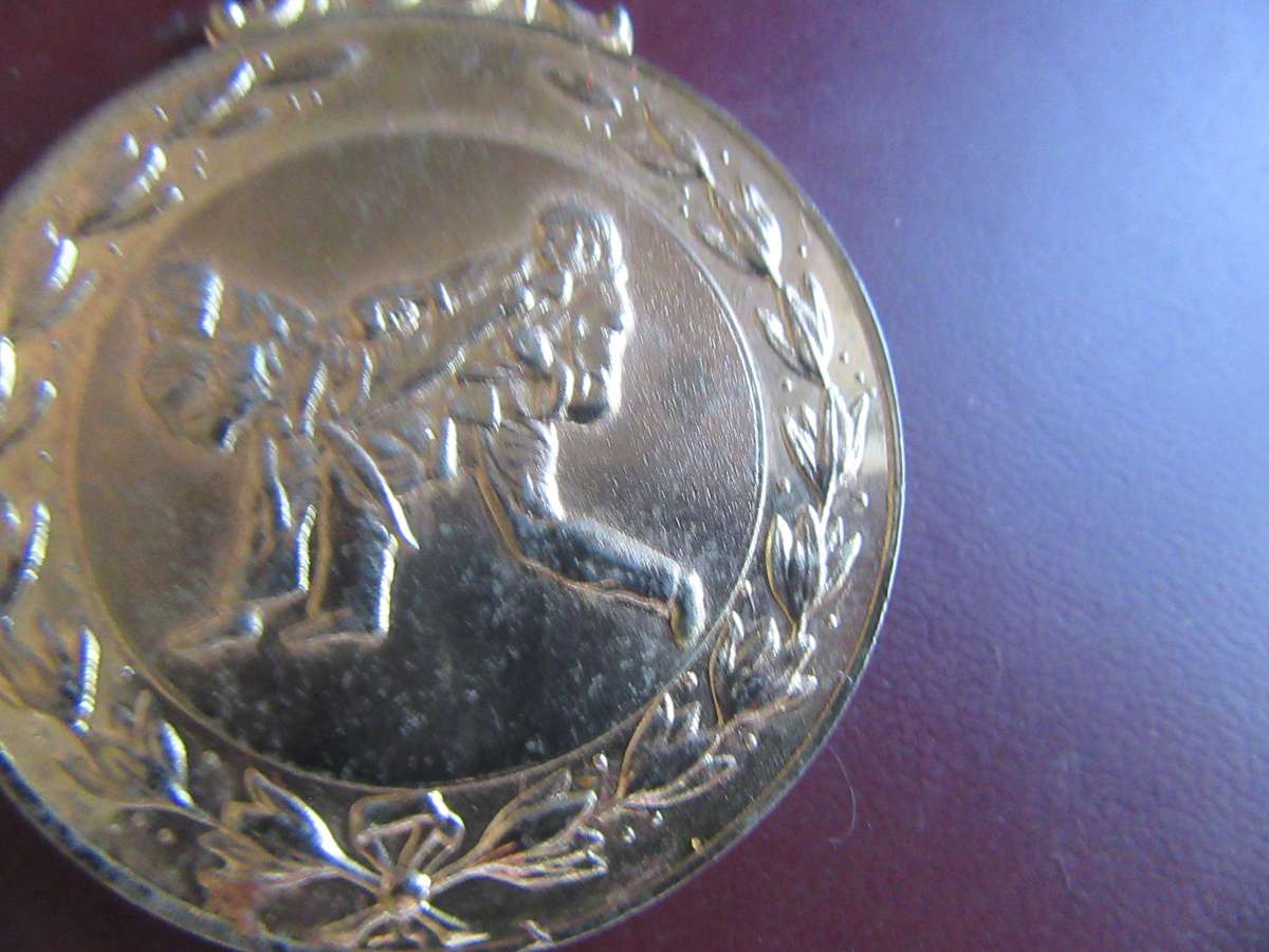 TEN VARIOUS MEDALS - AS PER SCAN - BID PER ITEM - M6