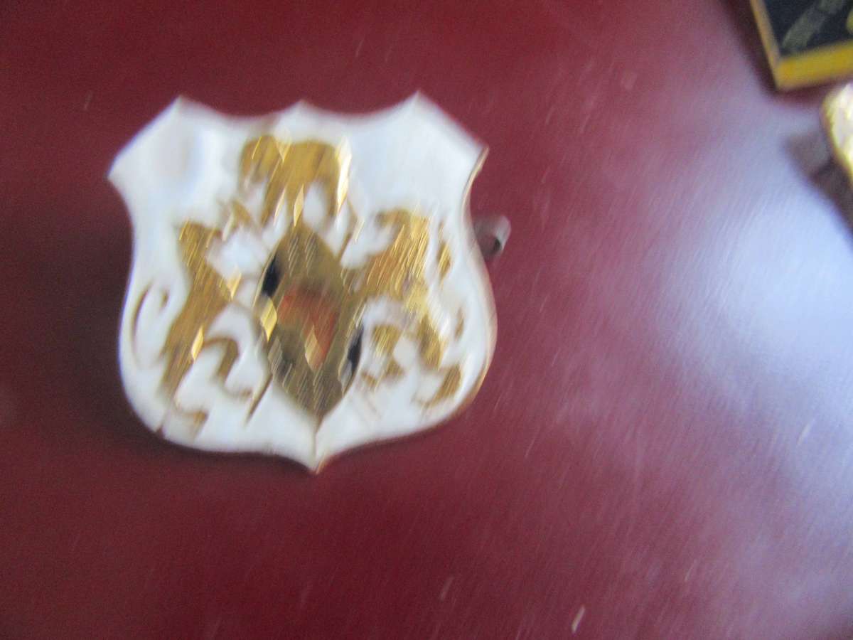 Collection of 15 enamel lapel pins/badges
