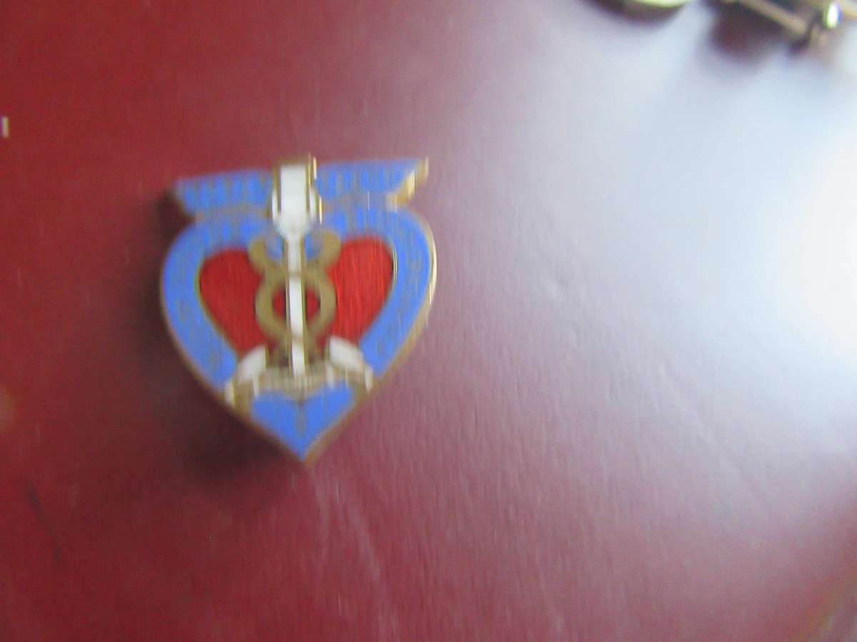 Collection of 15 enamel lapel pins/badges
