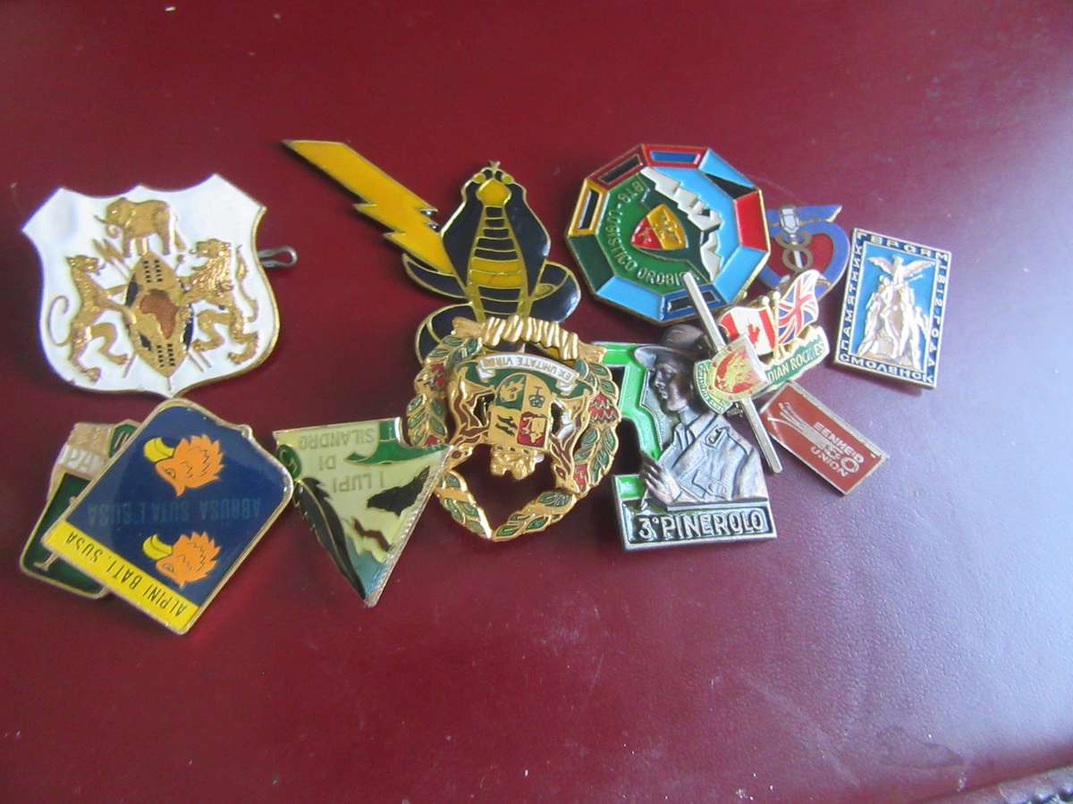 Collection of 15 enamel lapel pins/badges