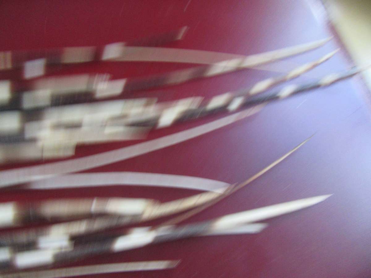 75 VARIOUS PORCUPINE QUILLS- AS [ PER SCAN - BID PER ITEM