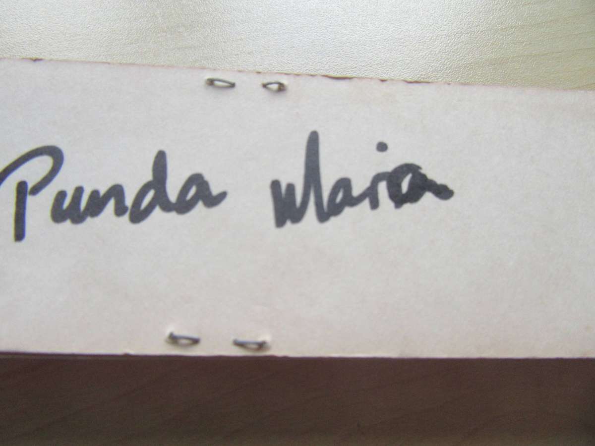 COLLECTOR SPOON PUNDA MARIA