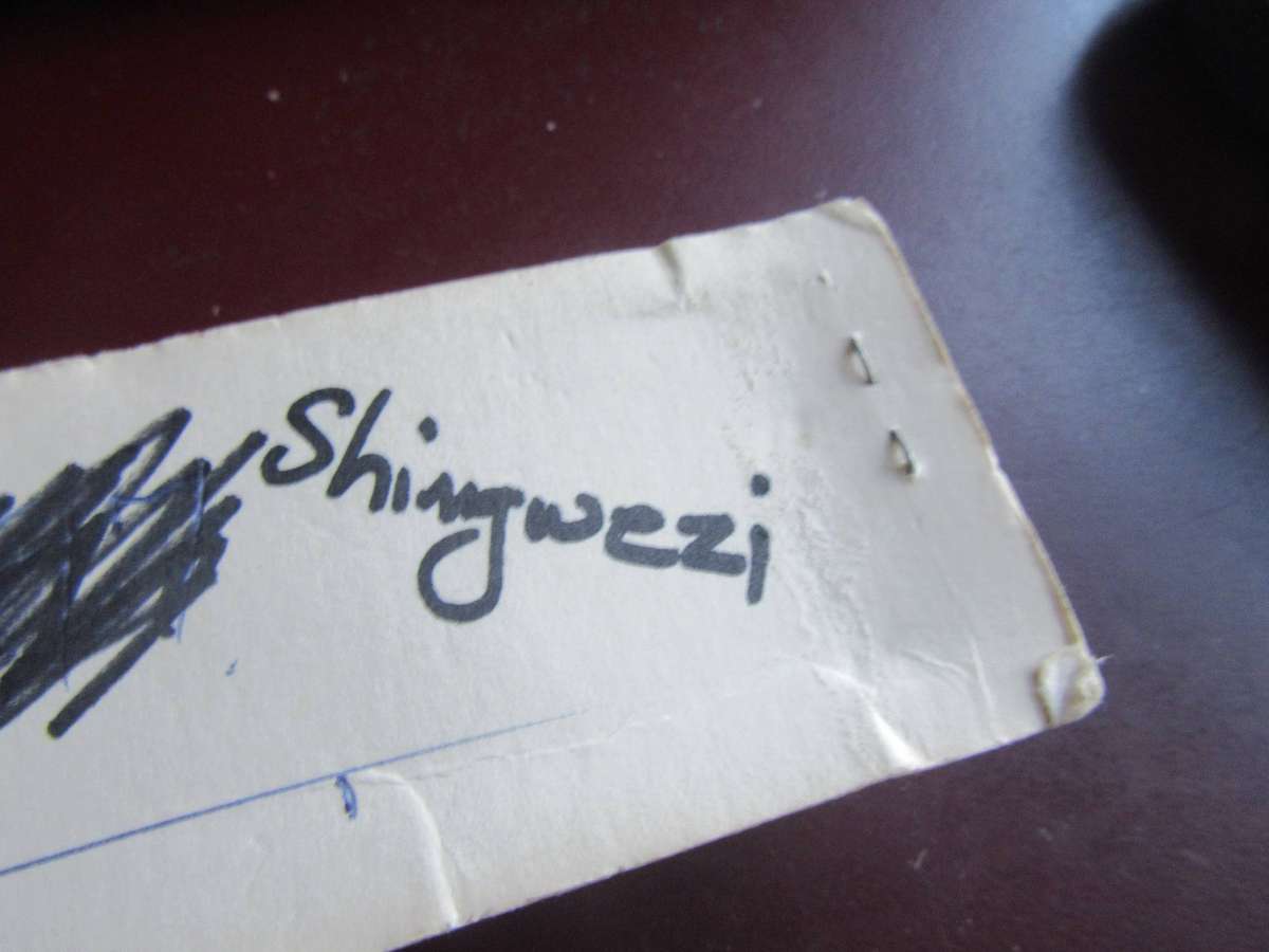COLLECTORSPOON SHINGWEZI