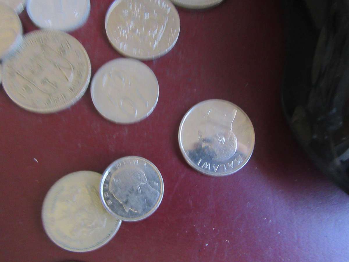 GOOD START FOR THE BEGINNER - 40 WORLD COINS INCL.RSA COINS - AS PER SCAN - BID PER COIN - LOT 25A