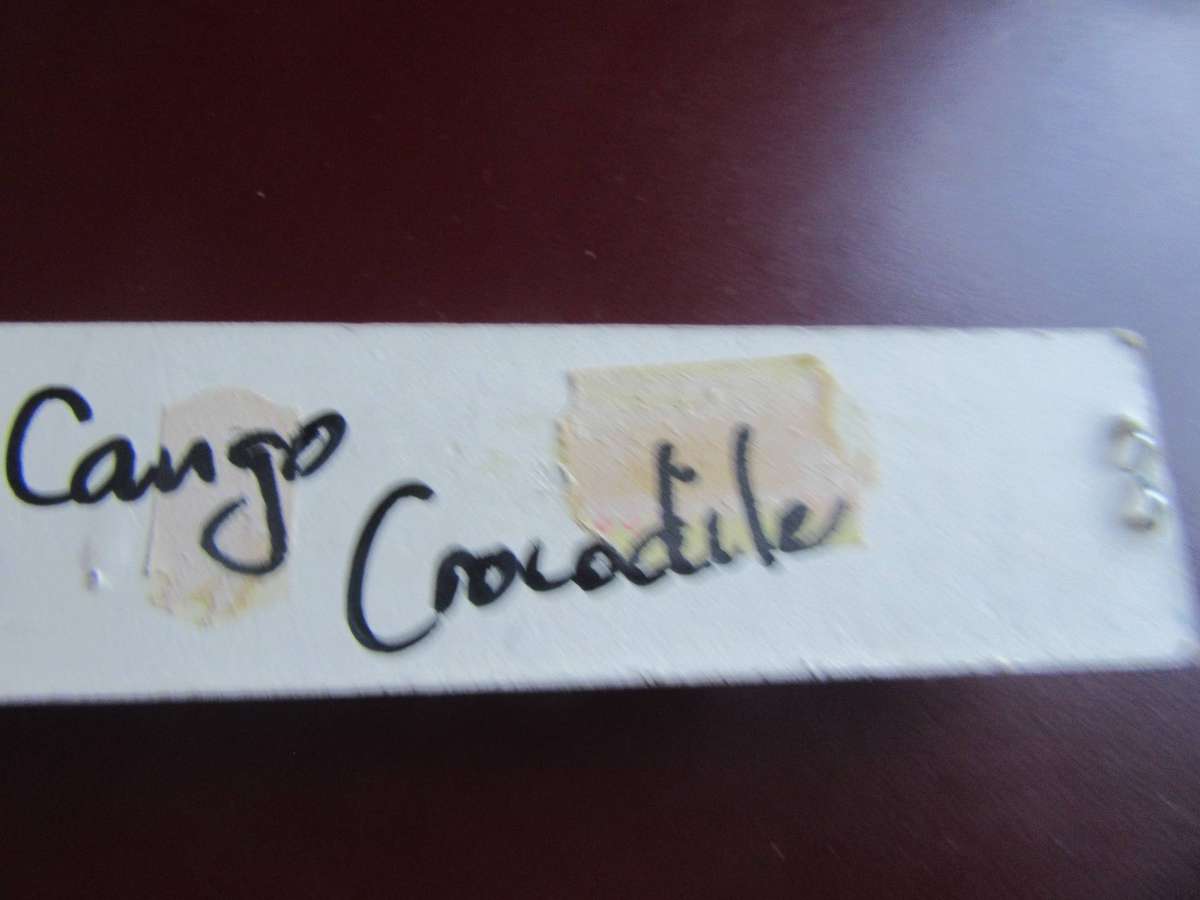 COLLECTOR SPOON - CANGO/CROCODILE