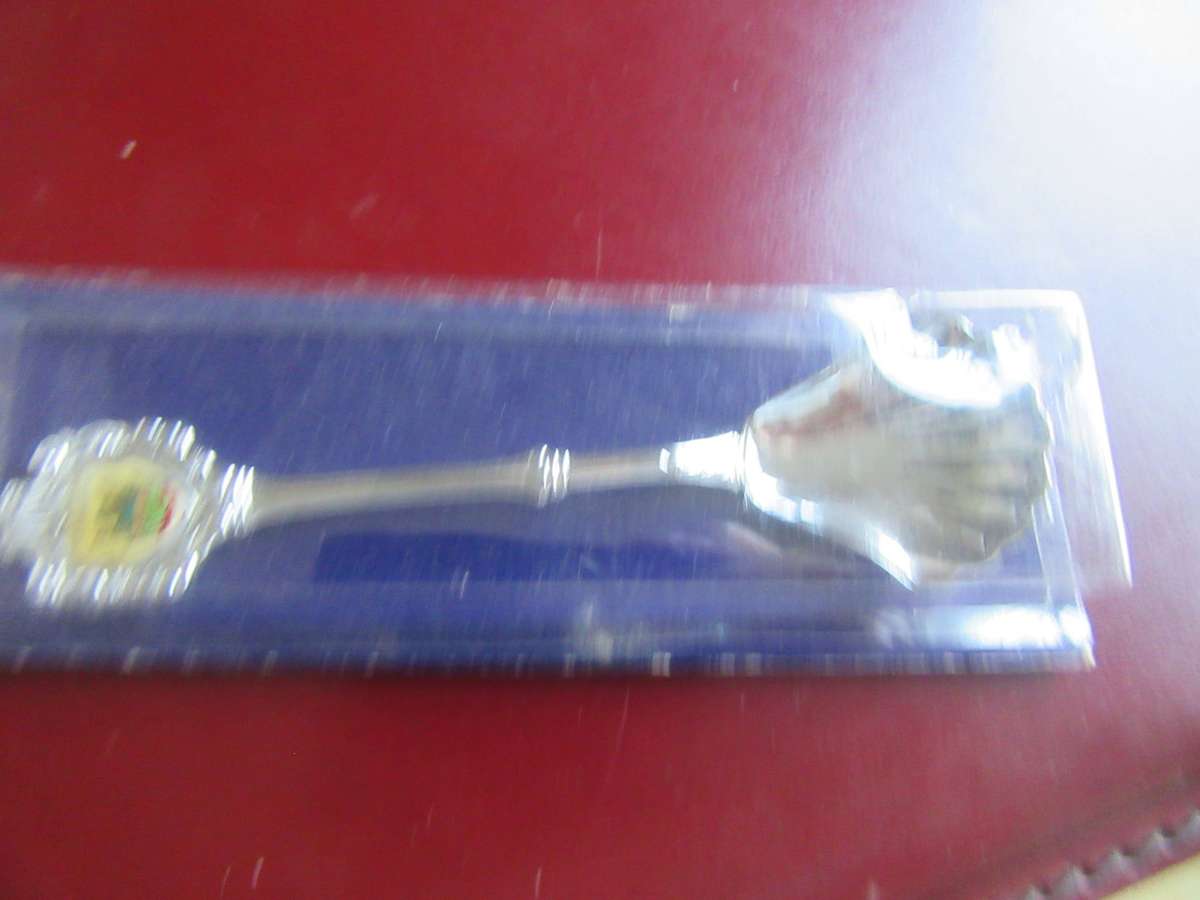 COLLECTORSPOON TZANEEN - RB