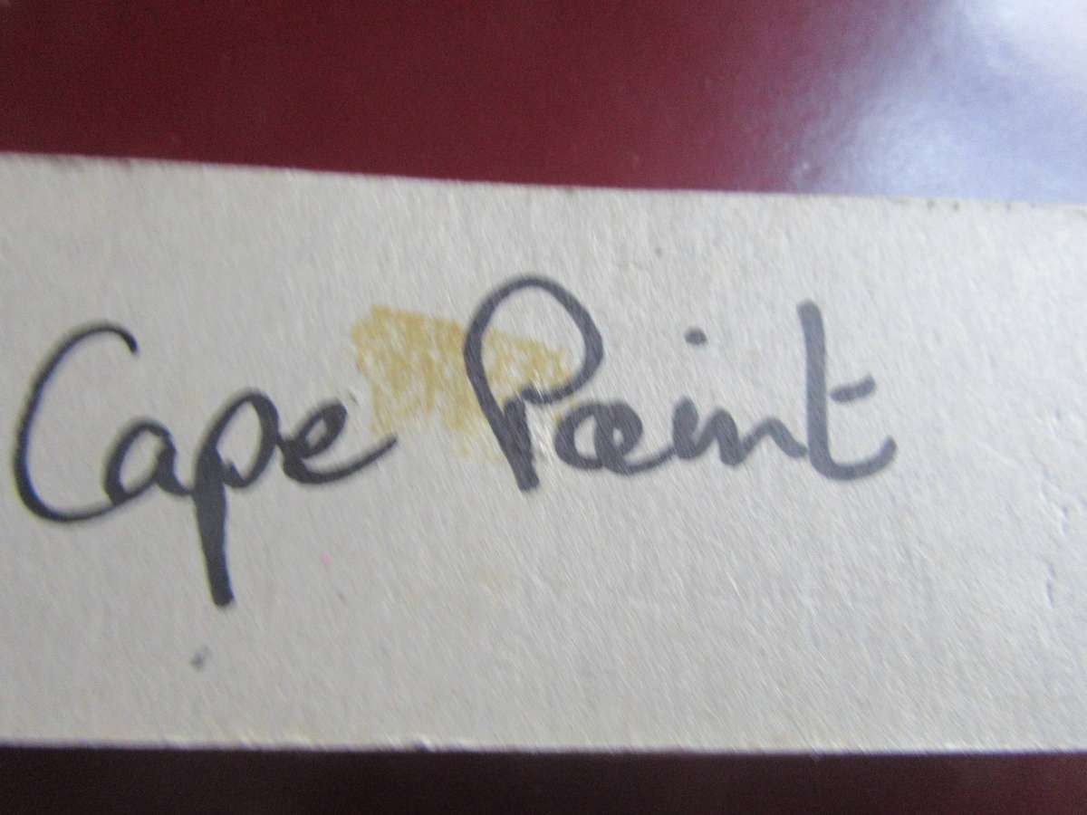 COLLECTOR SPOON CAPE POINT - RB