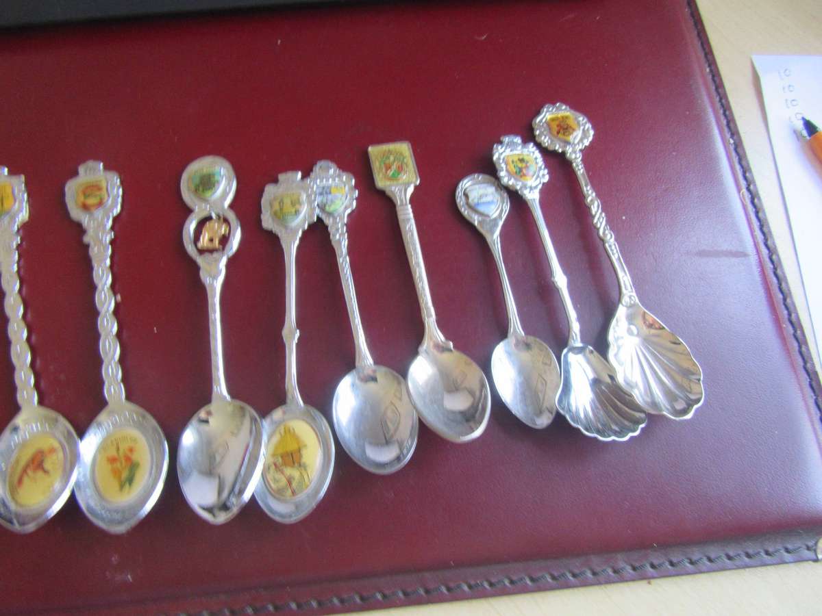 TEN SOUTH AFRICANCOLLECTOR SPOONS -AS PERSCAN - BID PER ITEM