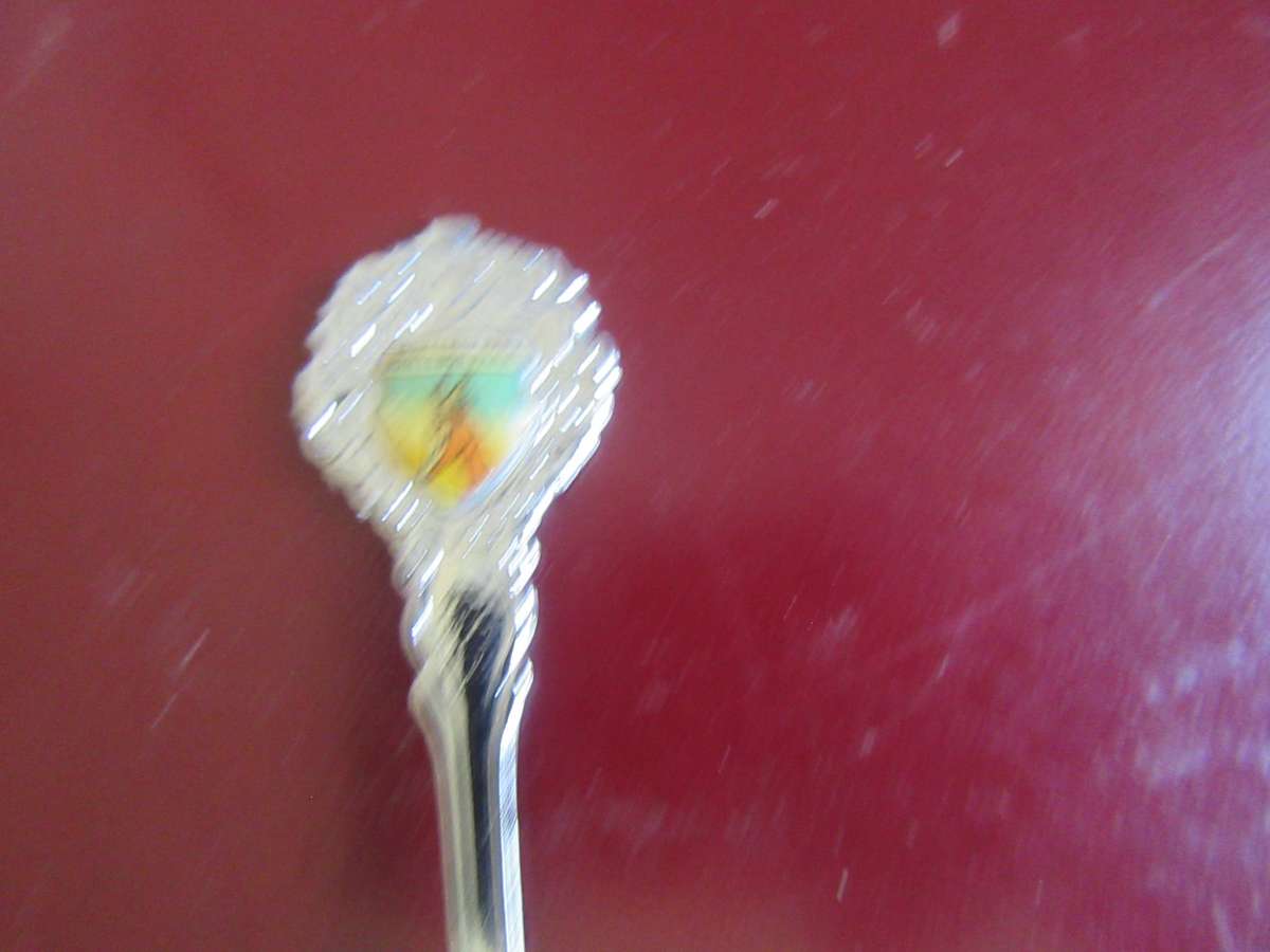 TEN SOUTH AFRICANCOLLECTOR SPOONS -AS PERSCAN - BID PER ITEM