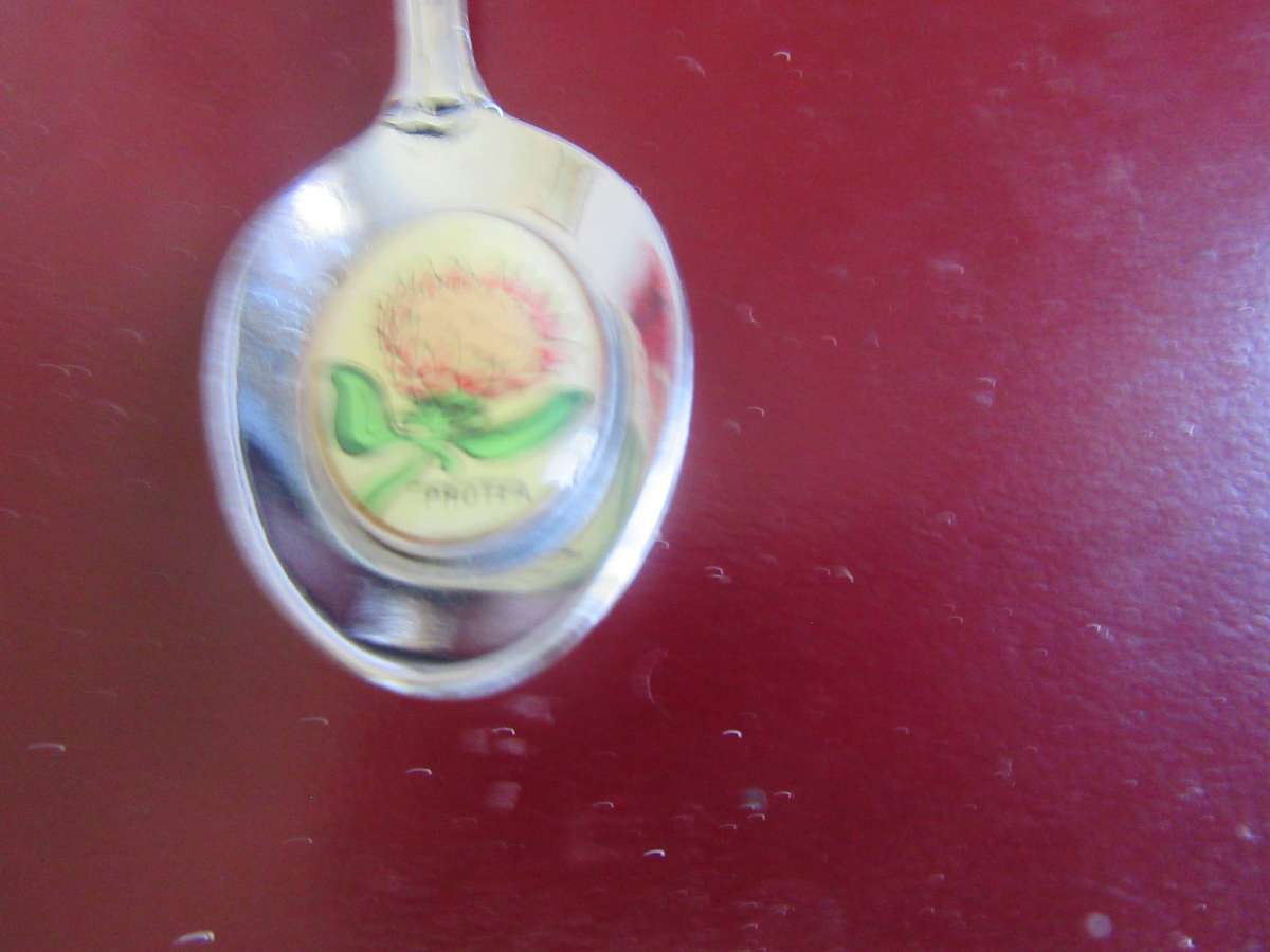TEN SOUTH AFRICANCOLLECTOR SPOONS -AS PERSCAN - BID PER ITEM