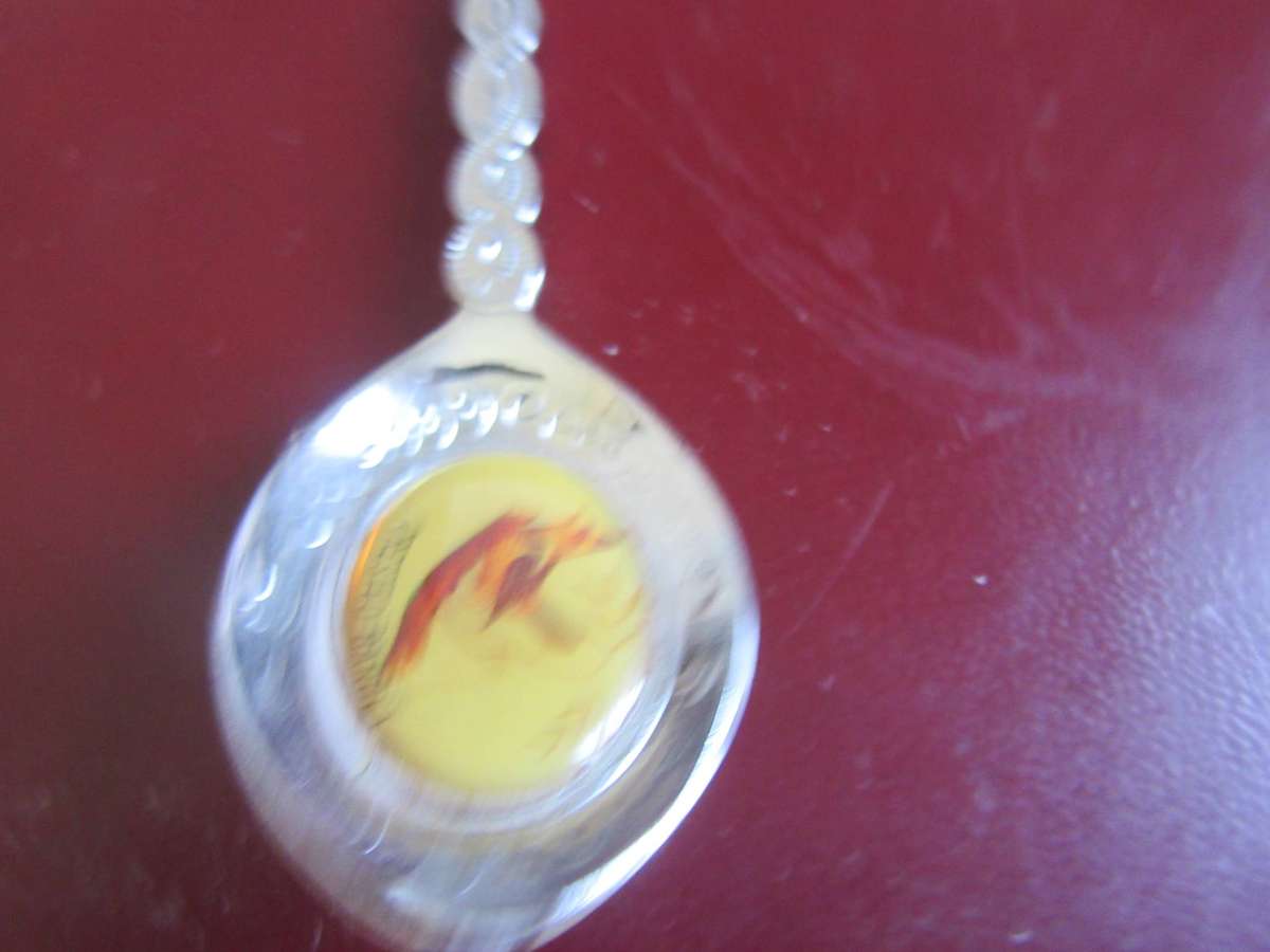 TEN SOUTH AFRICANCOLLECTOR SPOONS -AS PERSCAN - BID PER ITEM