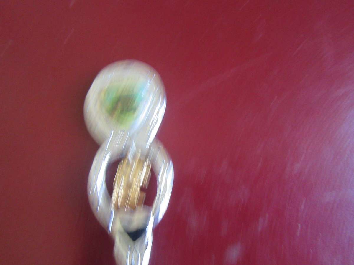 TEN SOUTH AFRICANCOLLECTOR SPOONS -AS PERSCAN - BID PER ITEM