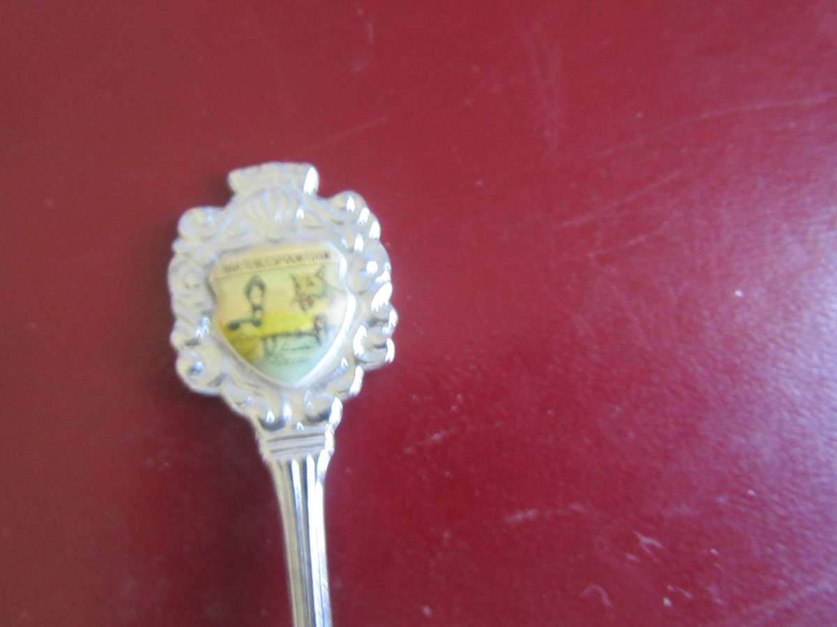 TEN SOUTH AFRICANCOLLECTOR SPOONS -AS PERSCAN - BID PER ITEM