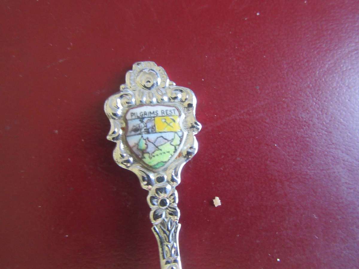 TEN SOUTH AFRICANCOLLECTOR SPOONS -AS PERSCAN - BID PER ITEM