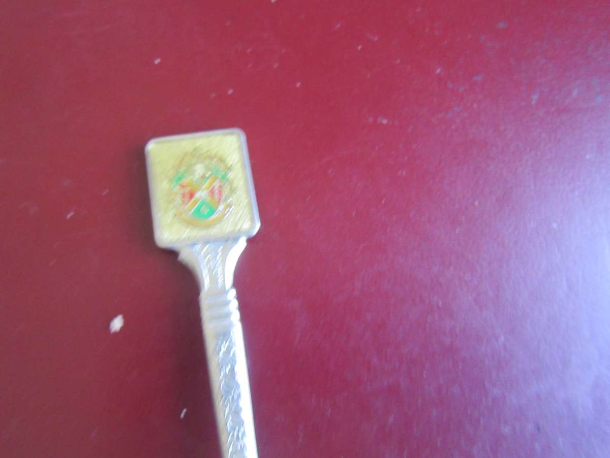 TEN SOUTH AFRICANCOLLECTOR SPOONS -AS PERSCAN - BID PER ITEM