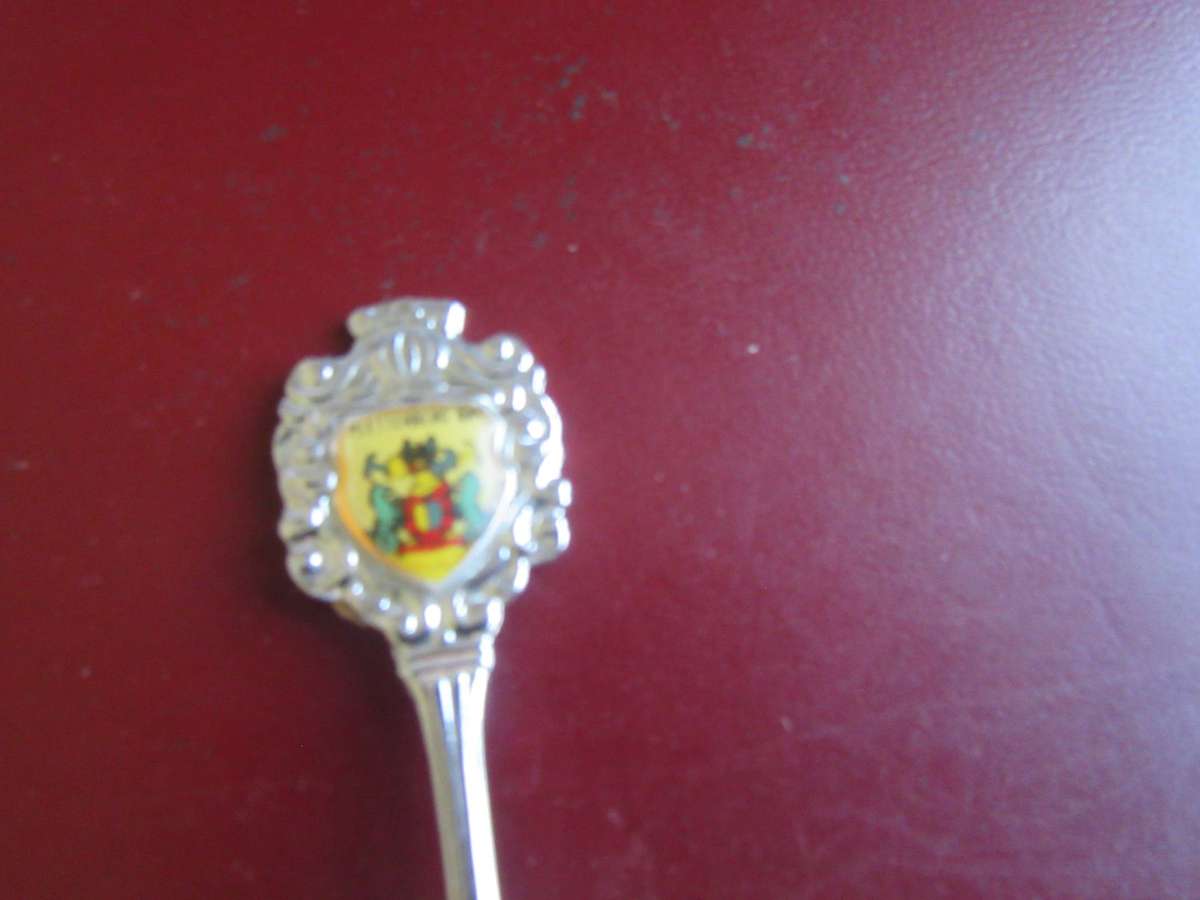 TEN SOUTH AFRICANCOLLECTOR SPOONS -AS PERSCAN - BID PER ITEM