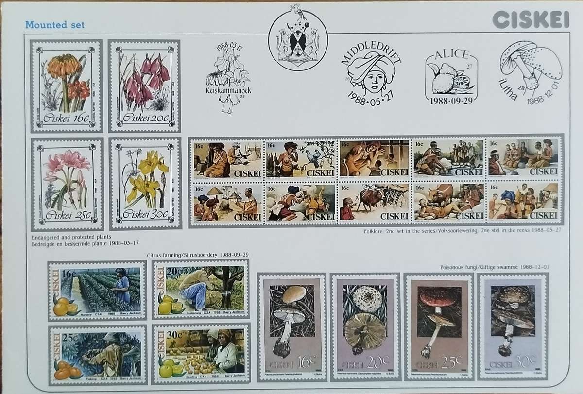 Mounted Mint Stamp Sets - A Lot of Unsold Items all as one - SWA, Ciskei and RSA