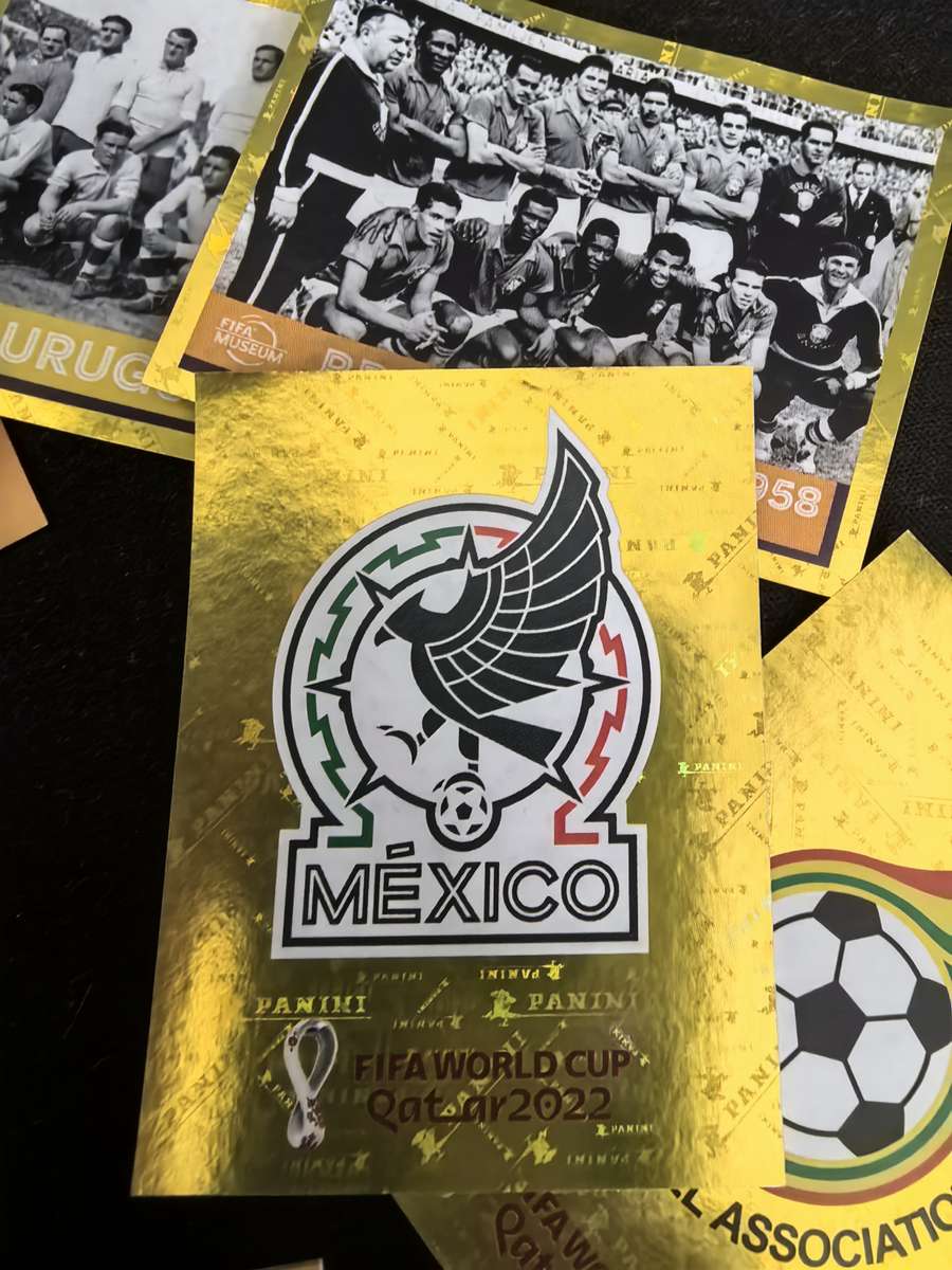 Panini World Cup Qatar 2022 Stickers