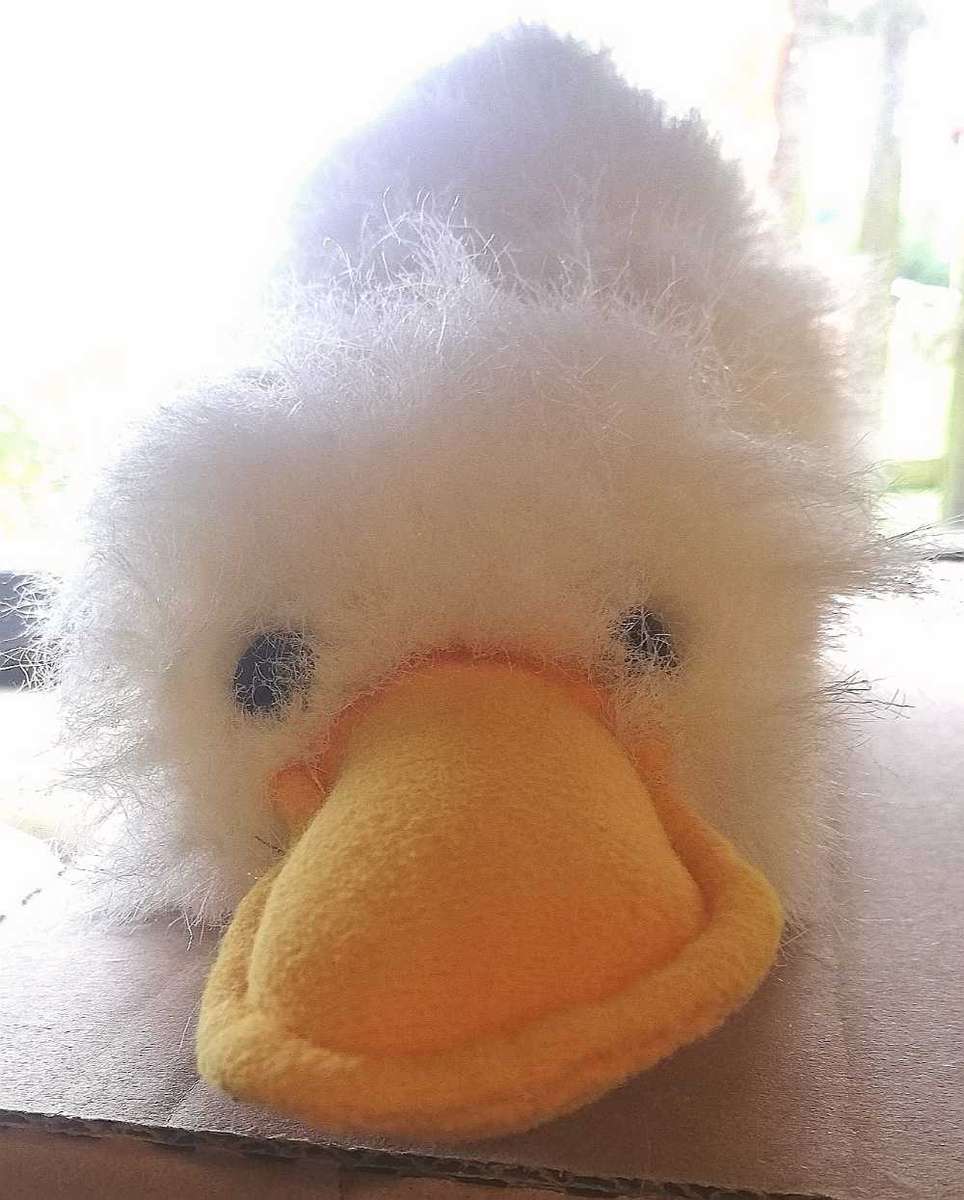 Scruffy the Platypus Little Duck! 30cm.
