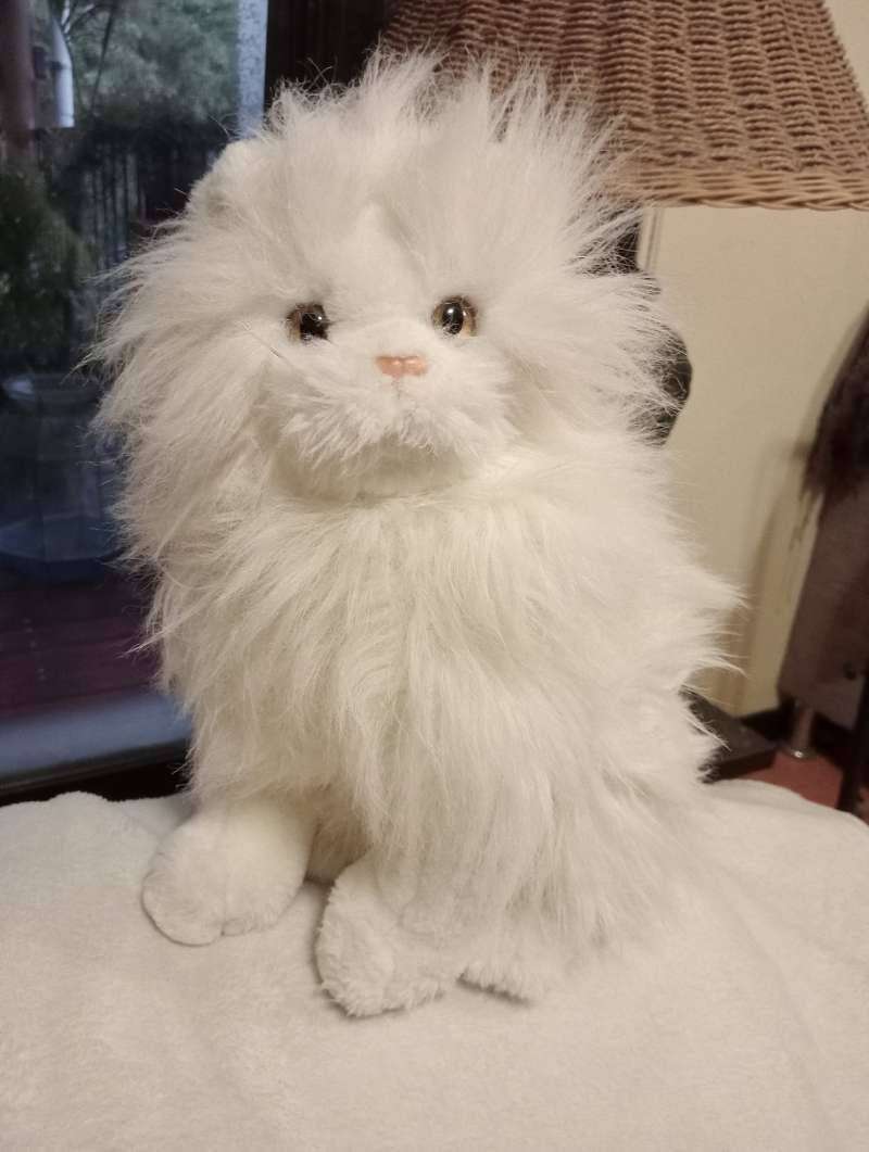 Snowball the white Cat. Fluffy and Cuddly! Great Price! 35cm.