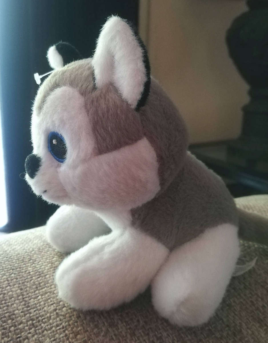 Shilo the cute little Husky. 13cm.