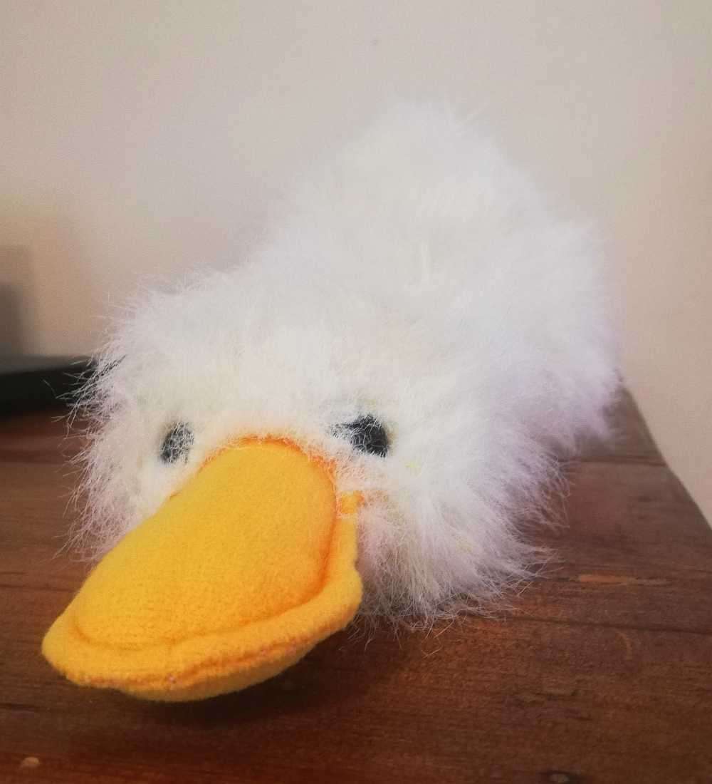 Scruffy the Platypus Little Duck! 30cm.