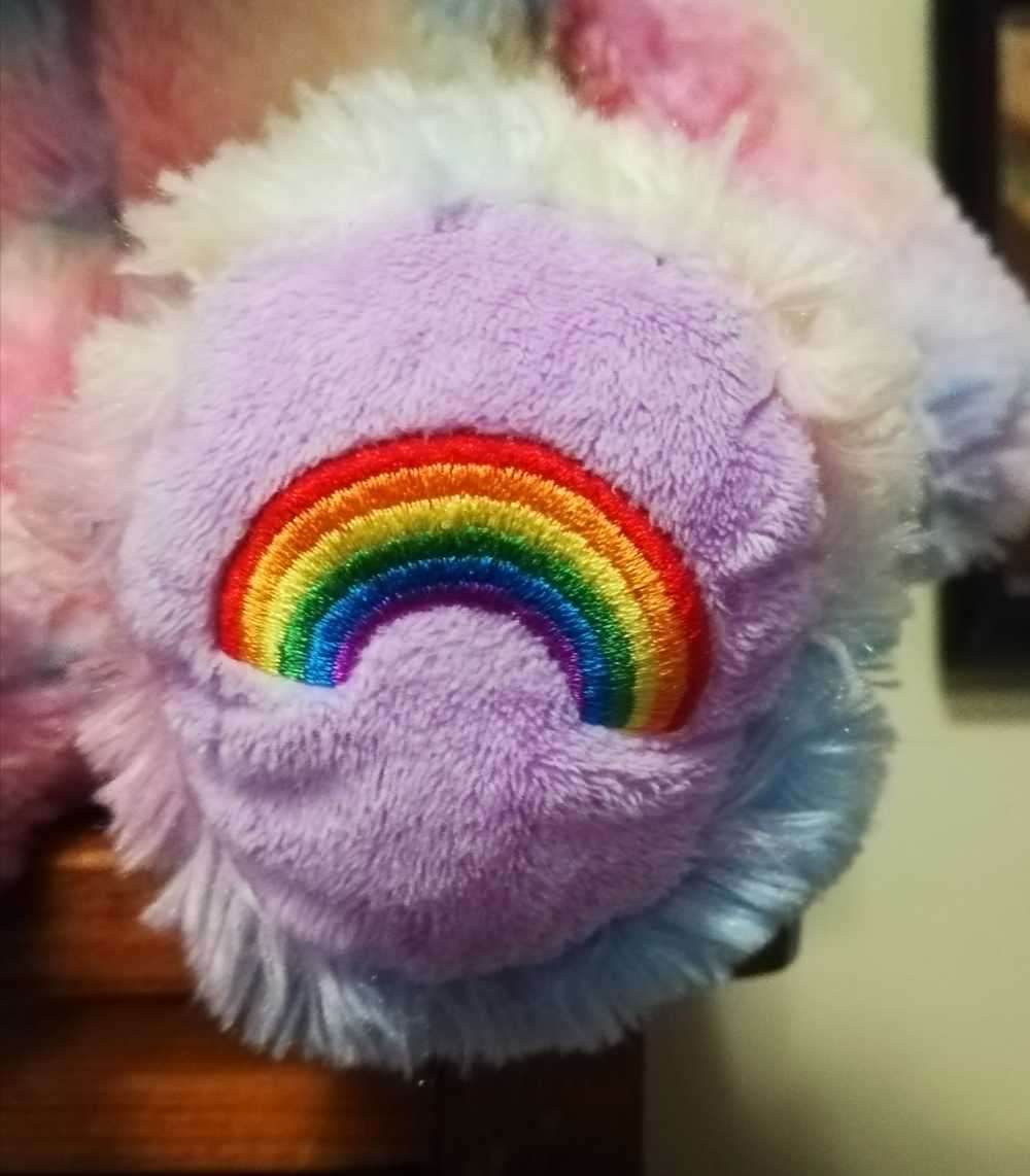 Rainbow is a colorful, beautiful Bear. 45cm.