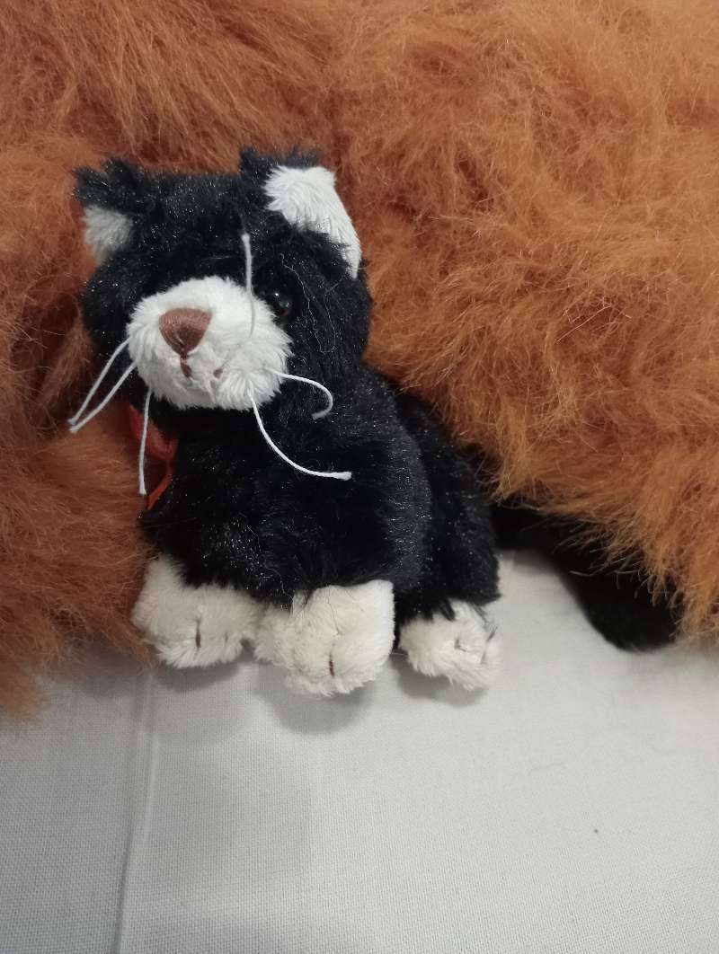 Collectable Swedish BUKOWSKI Black Cat Cloetta with Orange Scarf. 9cm.