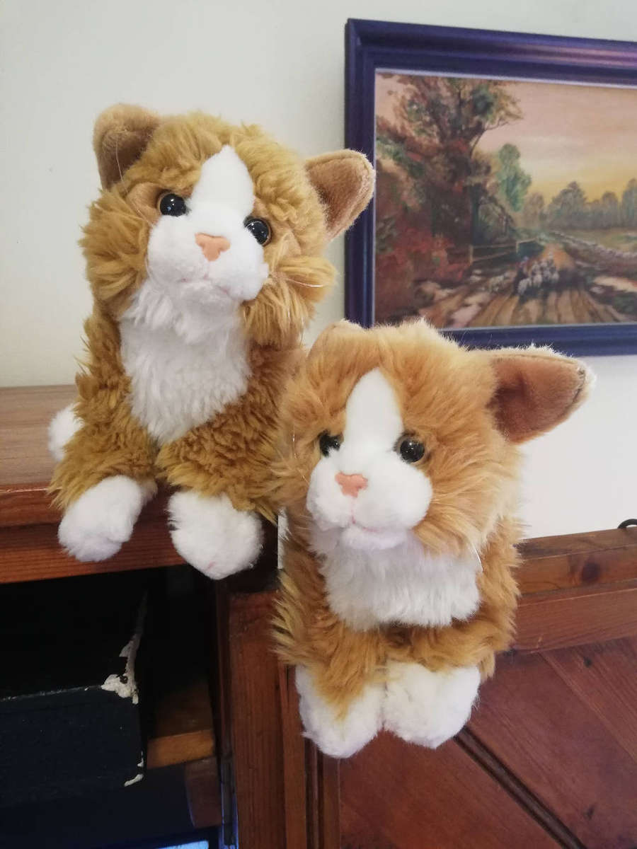 Ginger Snaps and Marmalade, 2x Gorgeous Cats. Plush toys. 20cm.