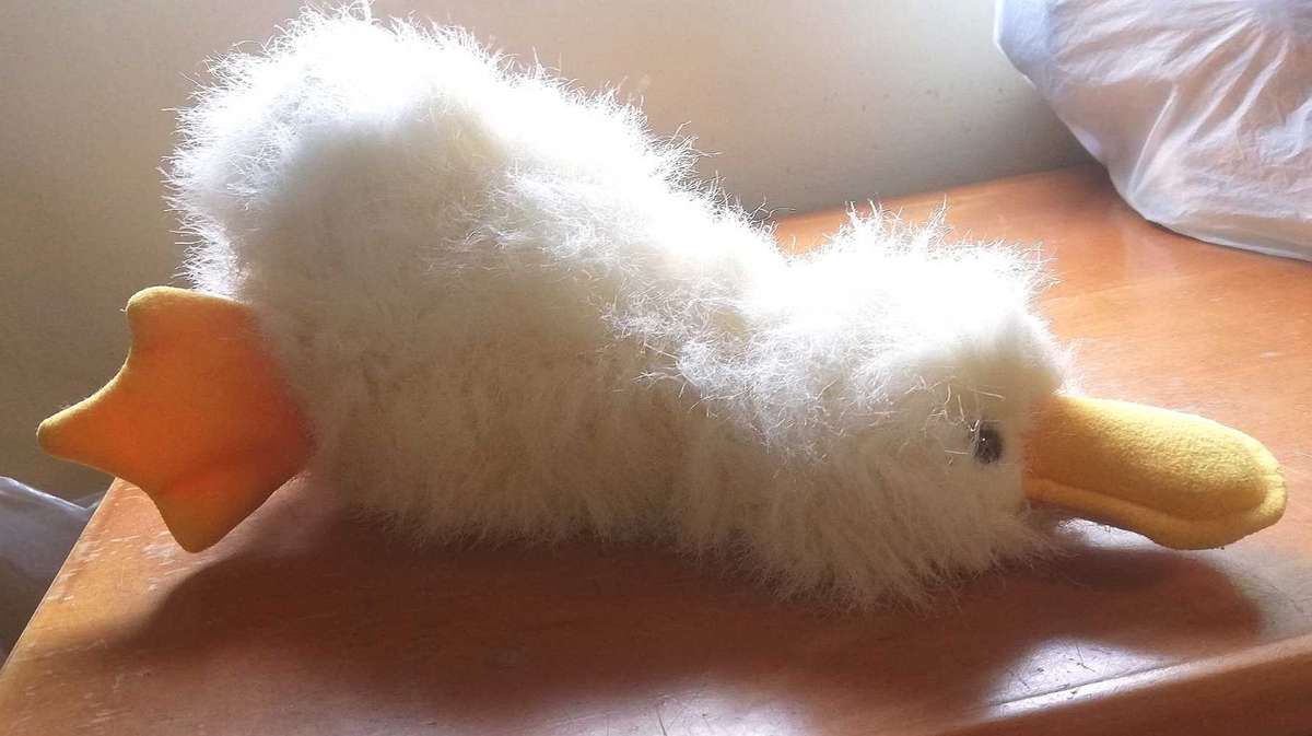 Scruffy the Platypus Little Duck! 30cm.