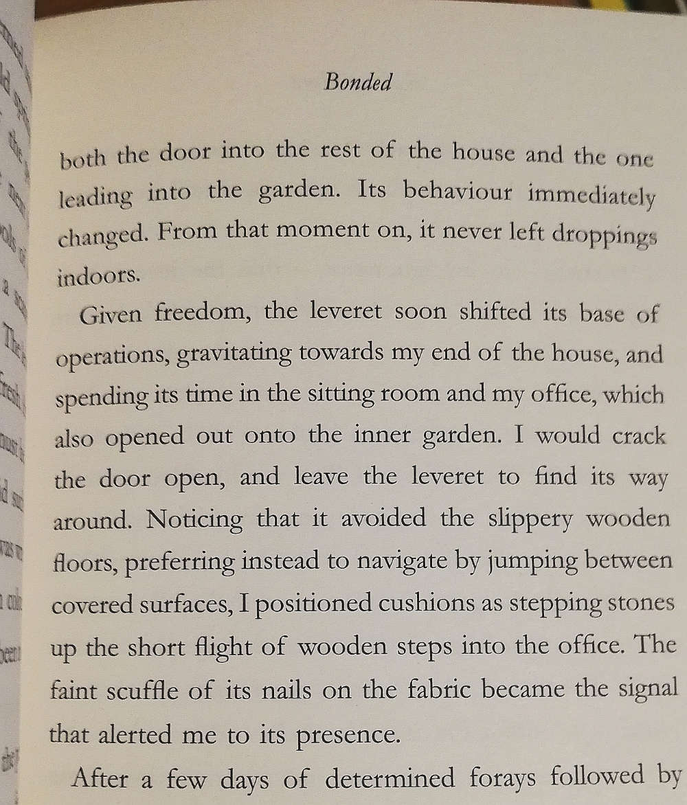 Raising Hare by Chloe Dalton. Hard Cover. A Memoir.