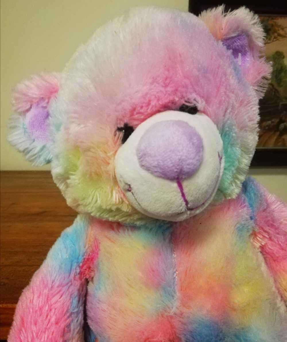 Rainbow is a colorful, beautiful Bear. 45cm.