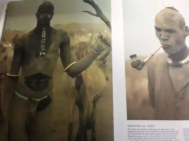 Africa Adorned - Angela Fischer