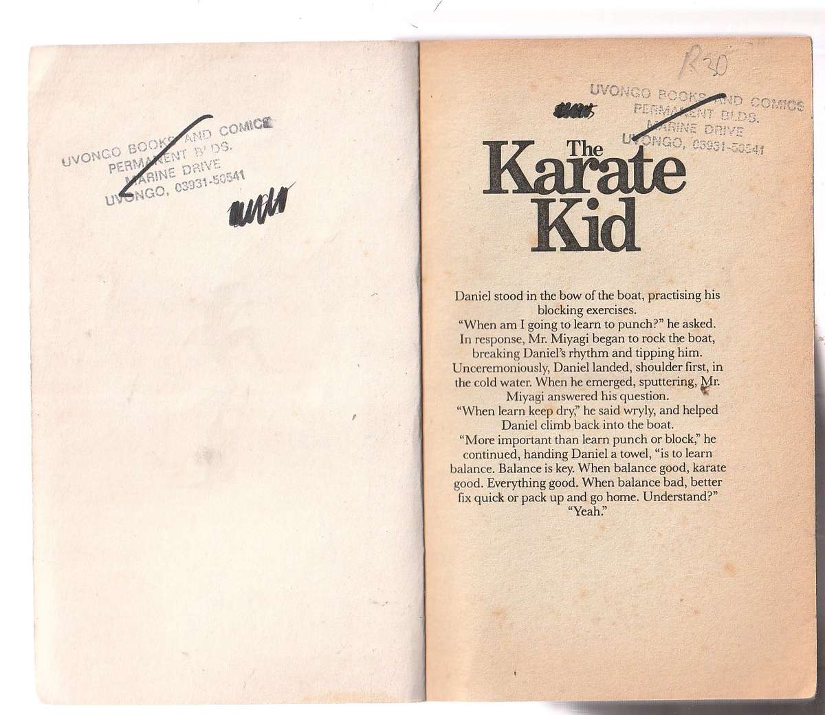The Karate Kid - BB Hiller - Novelisation of the Movie