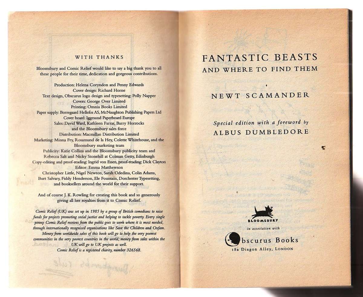 Fantastic Beasts & Where to find them - Newt Scamander ( Harry Potter)