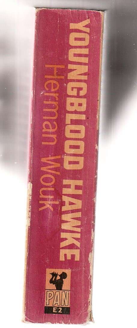 Youngblood Hawke - Herman Wouk - 2 woman struggle for the love of Youngblood