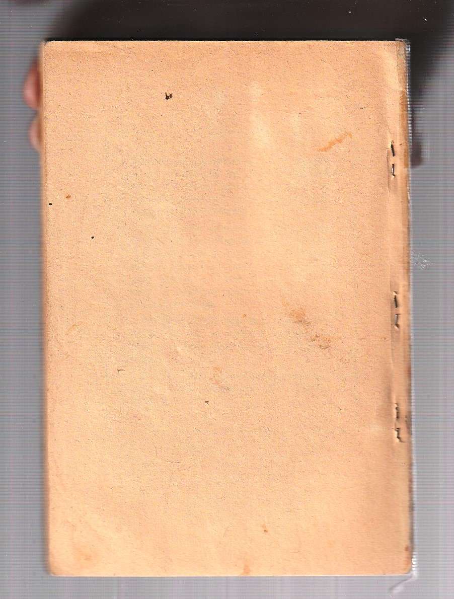 Leeuspore tussen die Lyke - Meiring Fouche - Swart Luiperd reeks - Pronk Boek