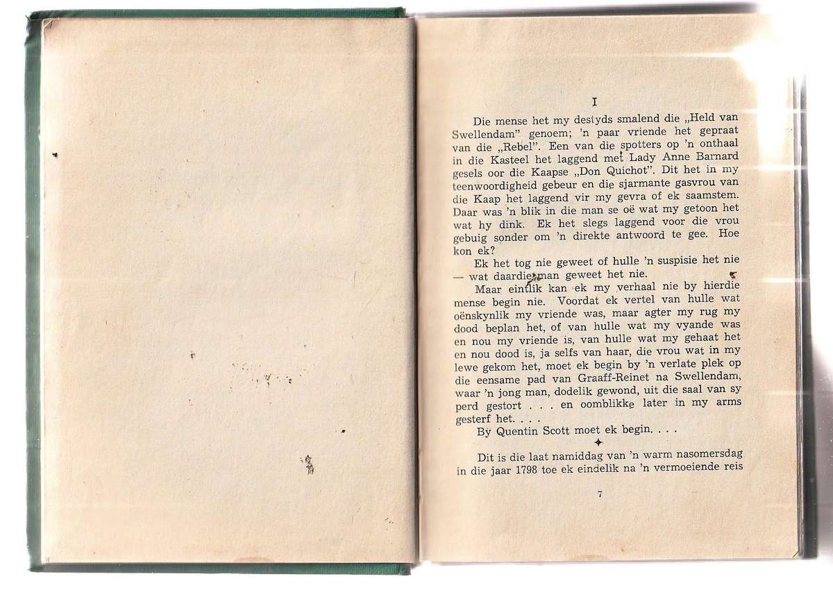 Rebel uit Swellendam - Elmar Steyn - Ou Kaapse verhaal