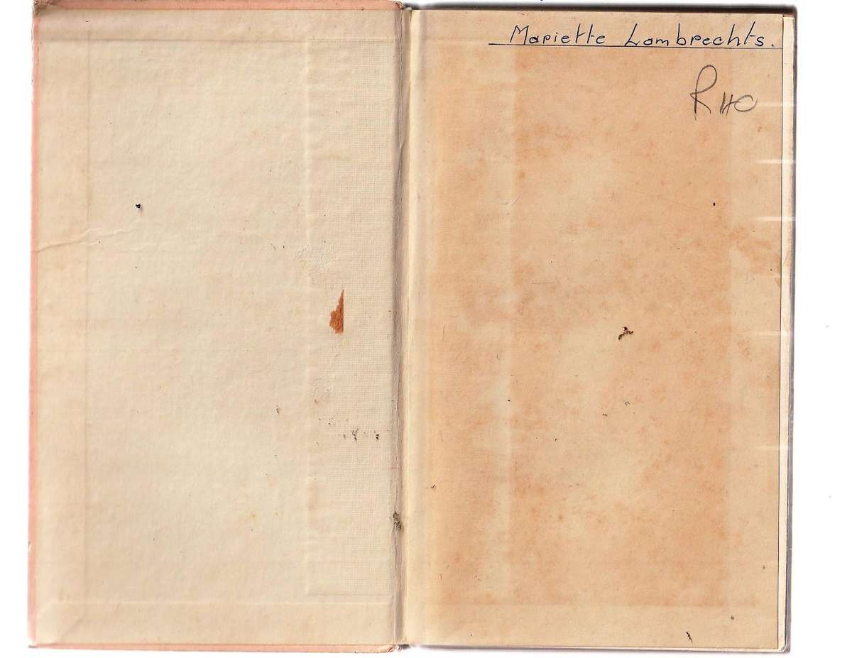 Die Tweeling trek saam - MER - Jeug avontuur