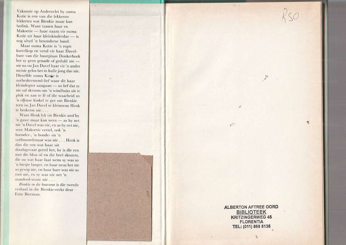 Bienkie en die Buurseun - Ettie Bierman - Bienkie reeks