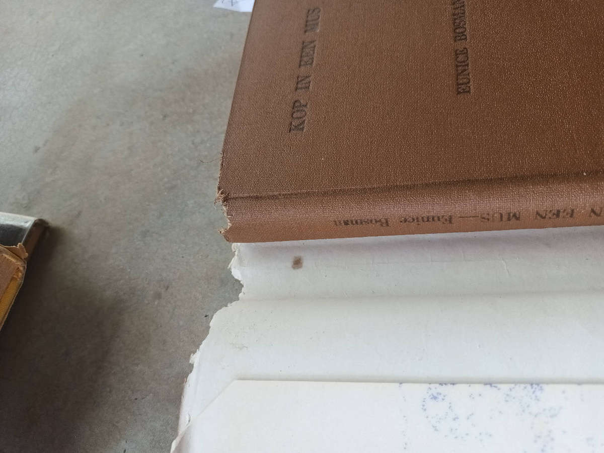 Kop in een mus deur Eunice Bosman