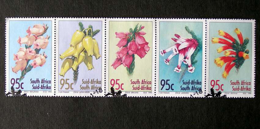 SOUTH AFRICA Set (First Day Cancel) - Heathers 1994 //Flowers