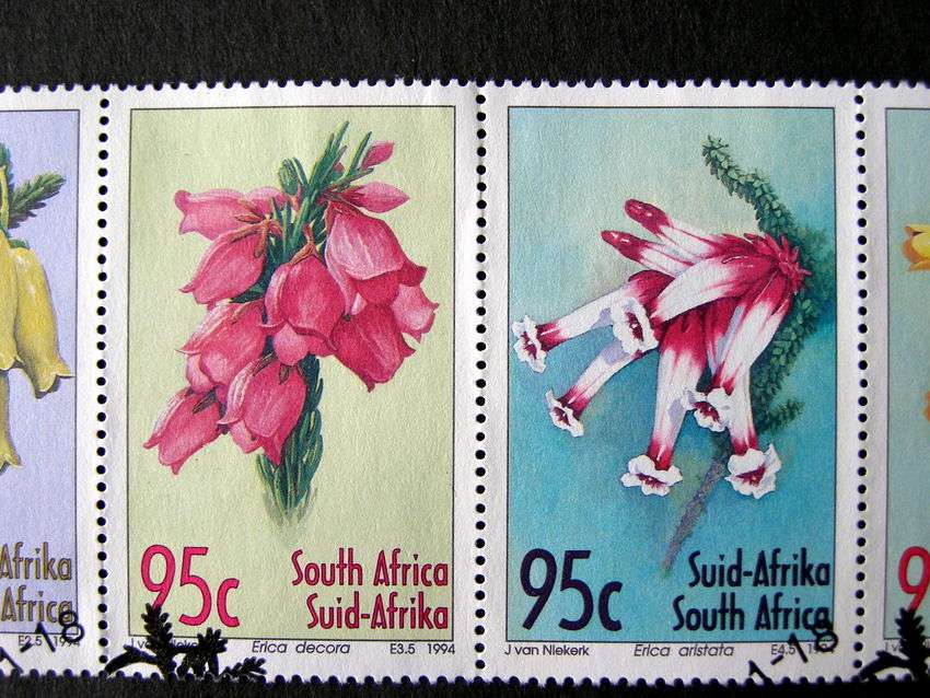 SOUTH AFRICA Set (First Day Cancel) - Heathers 1994 //Flowers