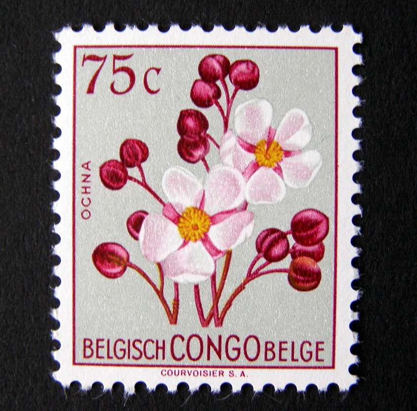BELGIAN CONGO Mint - Flowers 1952